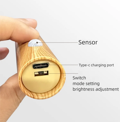 LED veilleuse USB charge intelligente Induction humaine pour armoire de chevet maison garde-robe éclairage capteur de mouvement lumière lampe à LED